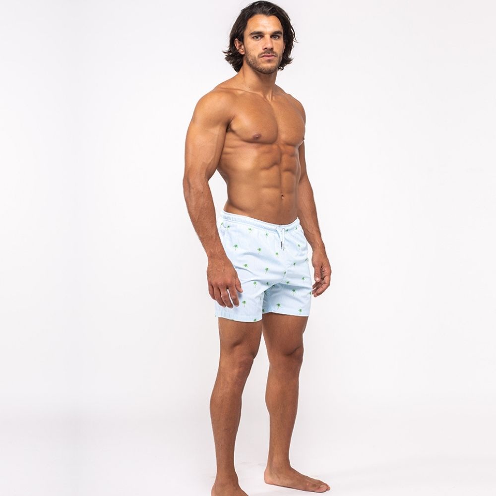 Bermies Mens Swim Trunk in Palm Stripes